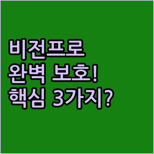 억소리 나는 비전 프로 완벽 보호 필..