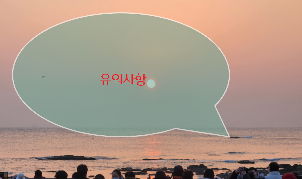 유의사항