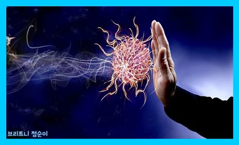 면역력이란 사진