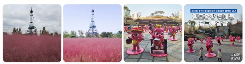 김포공항 롯데몰 인근 핑크뮬리 정원과 캐릭터 포토존, 감성 여행지 전경