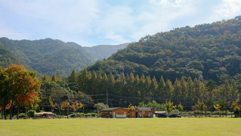 상소동 산림욕장