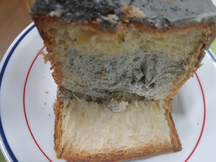 제주도에서만-판다는-&amp;#39;흑임자-품은-큐브-브레드&amp;#39;-스타벅스-앱에서-배송으로-시켜먹기