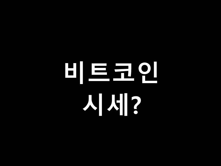 비트코인 시세