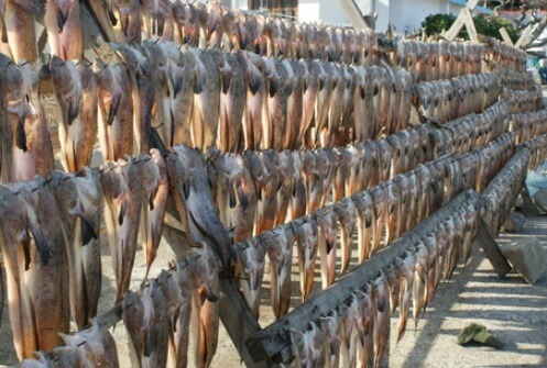 6시 내고향 통영 추도 반건조 생선 택배 주문 및 숙박예약 방법 윤성호추도물메기 (추도 배편 예약 방법)