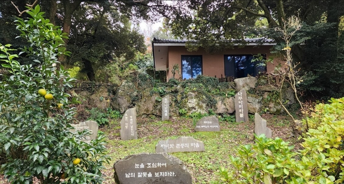 제주 남국사 : 삼나무 길과 수국이 아름다운 비밀 정원 제주 시내 작은 절