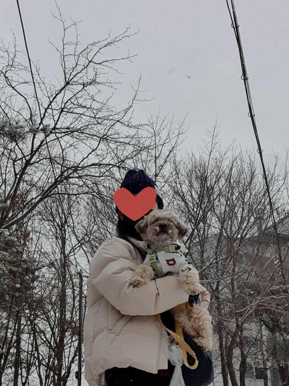 토리와 토리언니