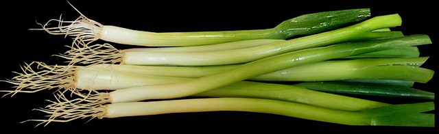 공익직불금 계산하기