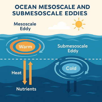 해양 중규모·소규모 와류(eddies)의 구조와 열·영양염 수송 역할