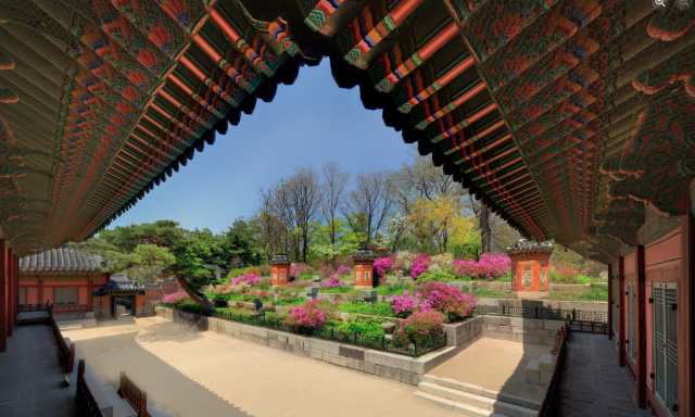 2025 경복궁 교태전