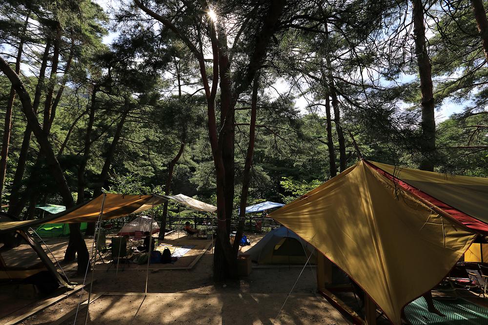 충청북도 제천시 월악산국립공원 덕주야영장 소개