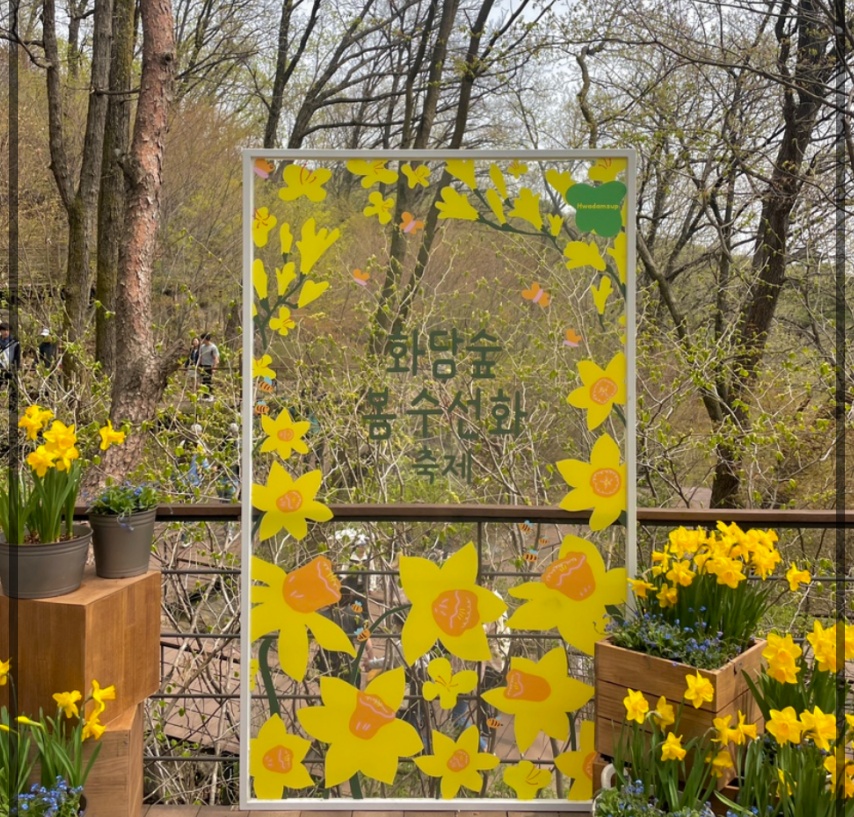 봄꽃-봄꽃축제-화담숲-수선화-축제