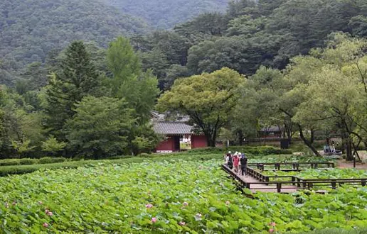수타사계곡