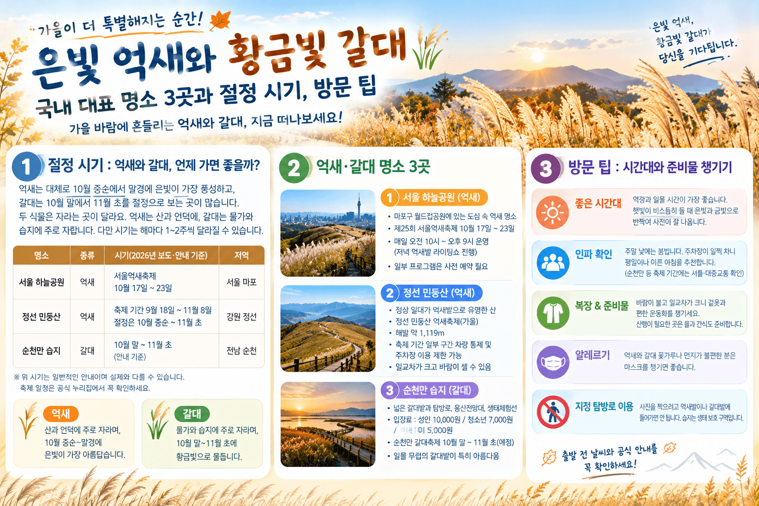 가을 억새와 갈대 명소 국내 여행지 3곳, 절정 시기, 명소, 방문 팁 (2026년 기준)