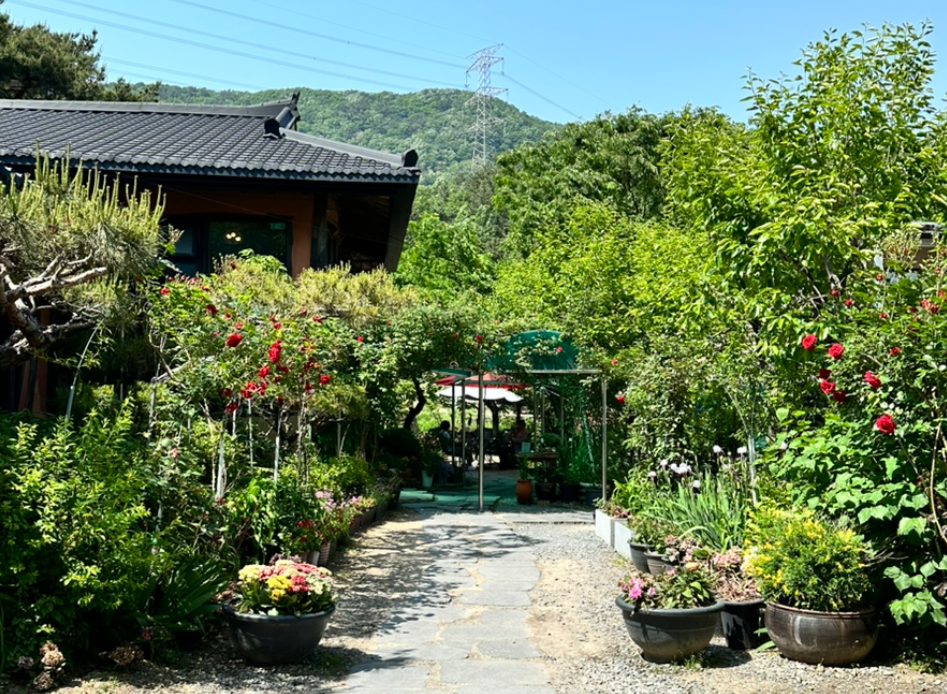 율리정