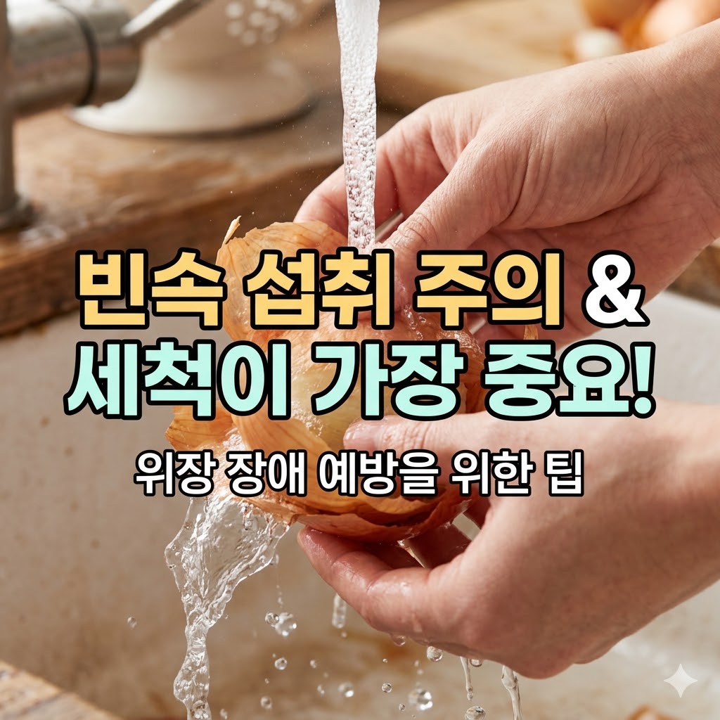 양파 효능