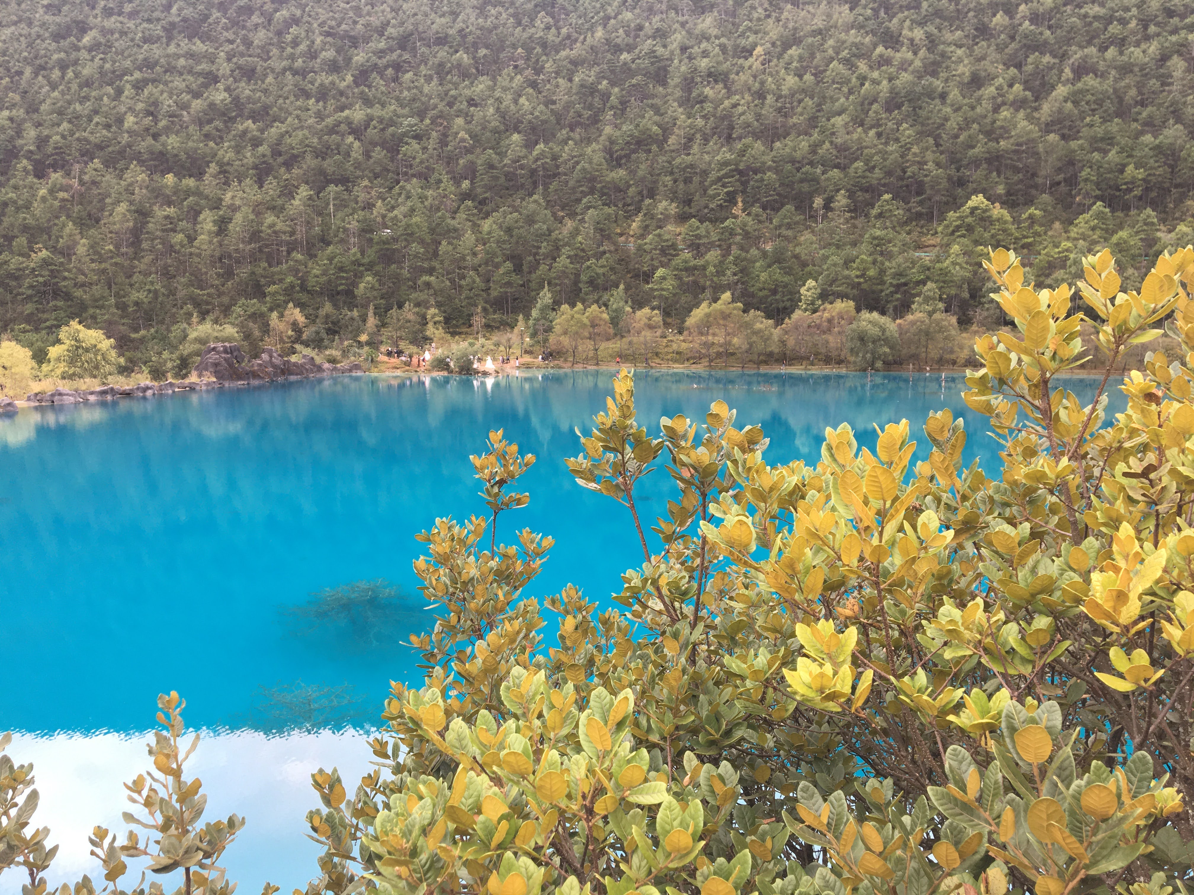 전 세계 항공권 특가 정리! 일본 12만&amp;#44; 유럽 반값&amp;#44; 하와이 50만원대 관련사진