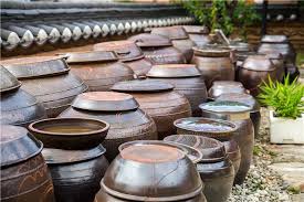 🥬 김장김치 온도 숙성 부터 오래 아삭하게 보관법