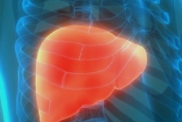 글루타치온 부족2