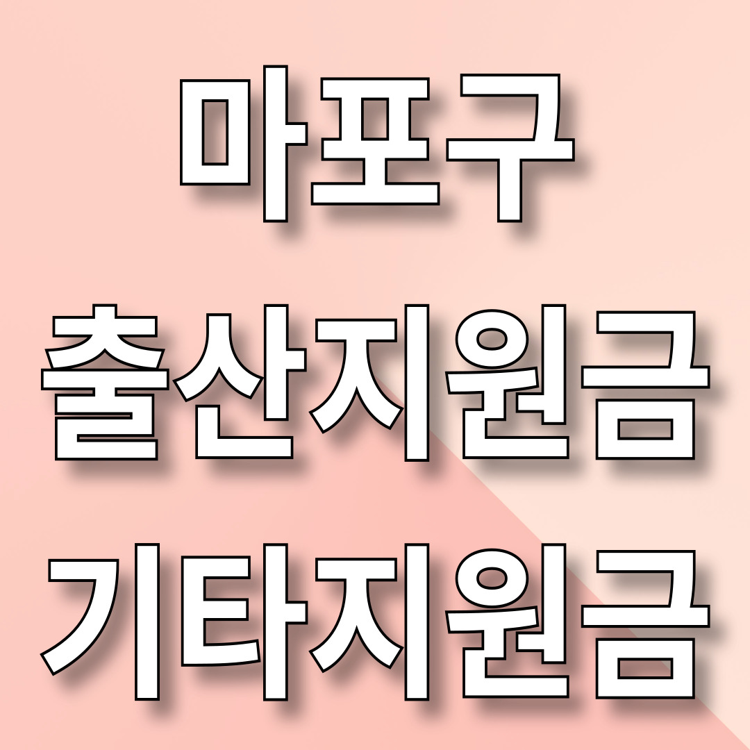 마포구 출산지원금