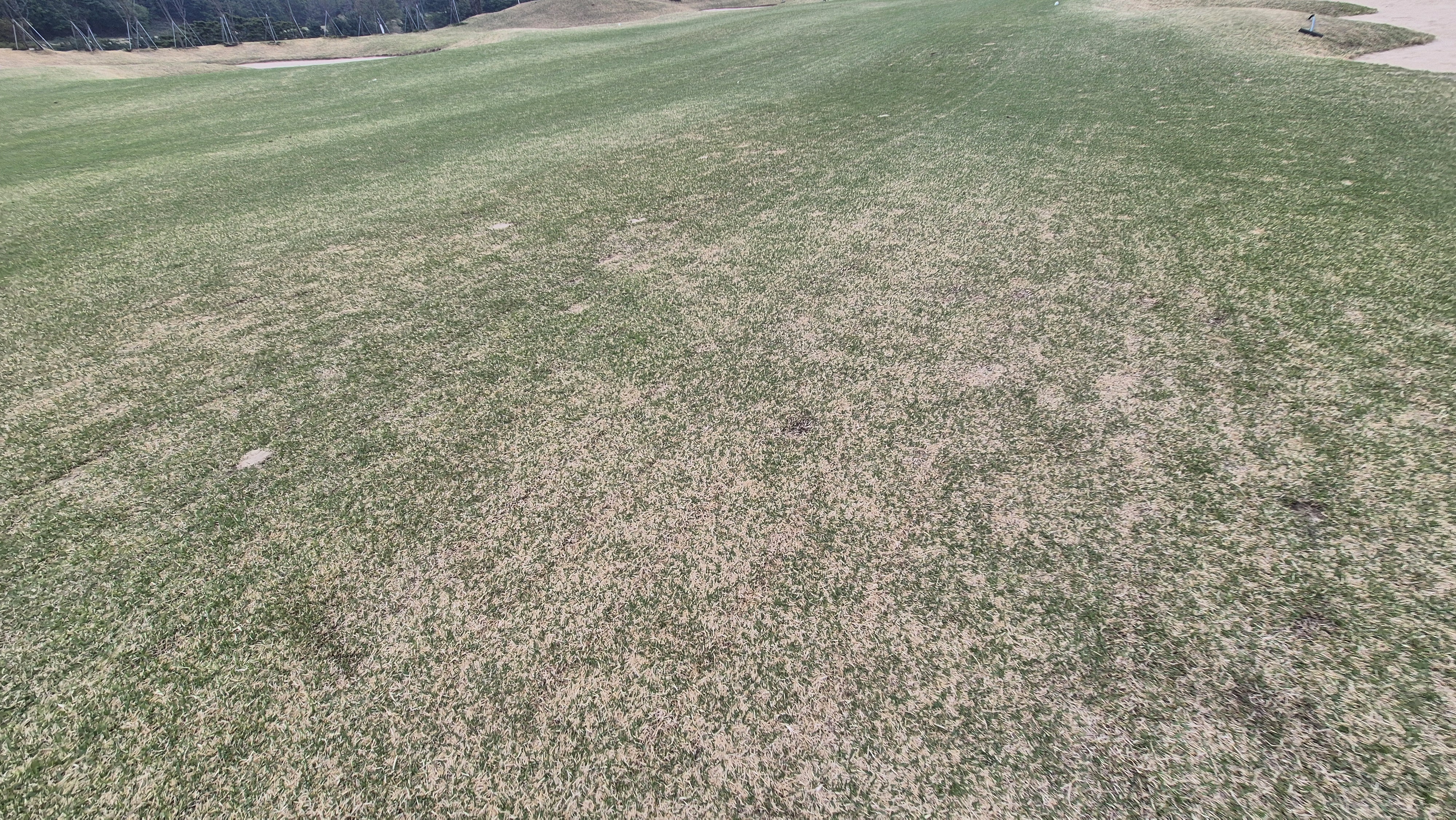 시그너스cc 코튼-라미 코스 난이도