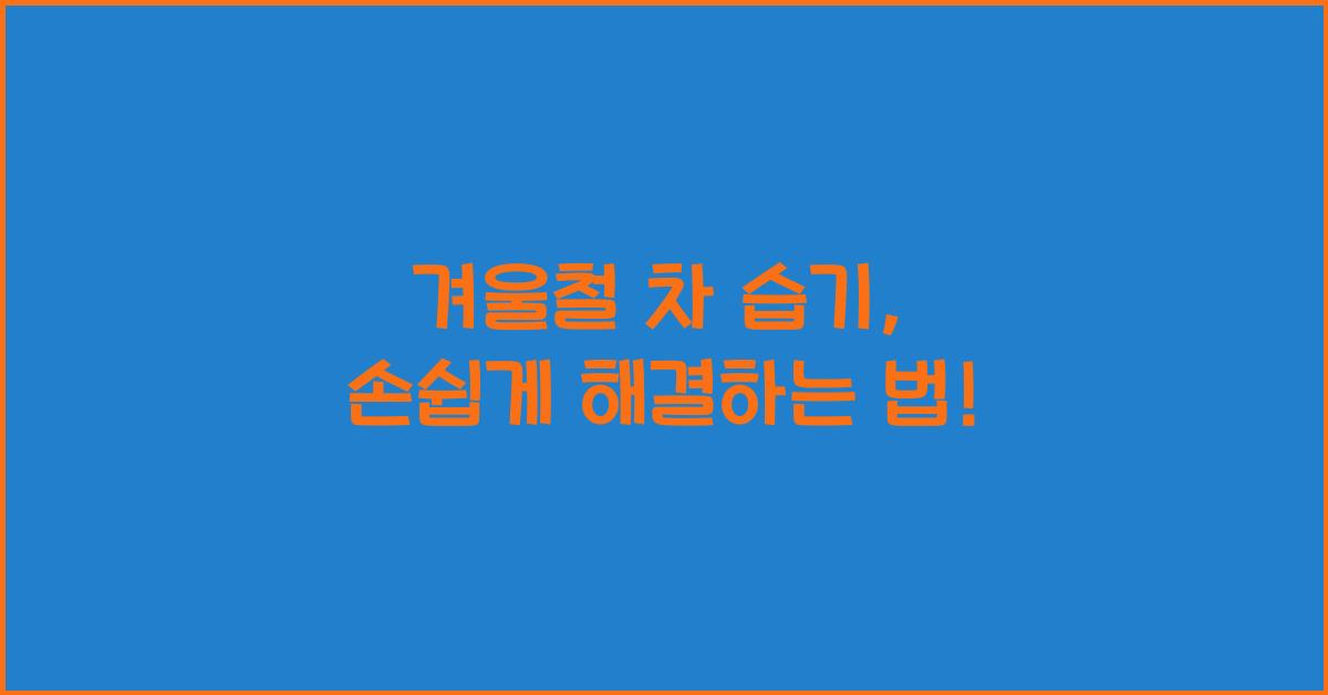 겨울철 차 습기