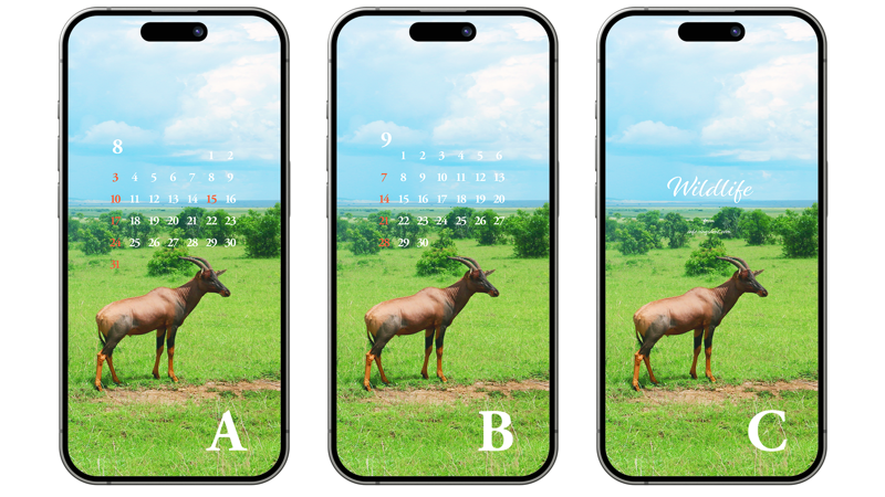 07 토피영양 ABC - 2025년8월 아이폰배경화면