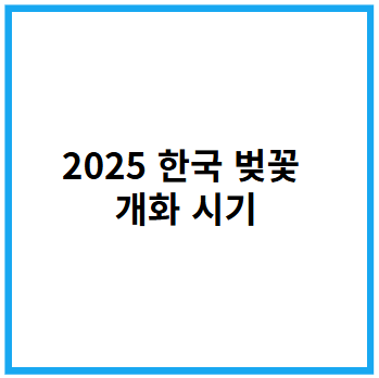 한국 벚꽃 개화 시기