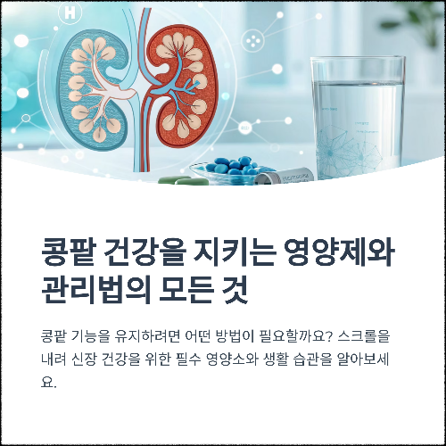 신장 건강을 지키는 영양제와 관리법의 모든 것