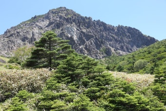 2025 한라산 백록샘 첫 개방! 선착순 100명