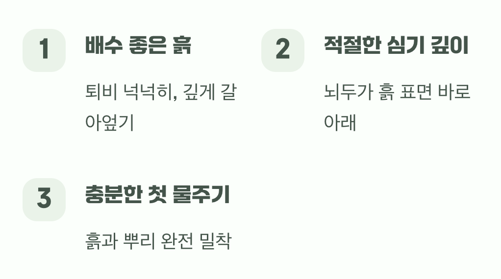 성공적인 심기를 위한 작은 팁