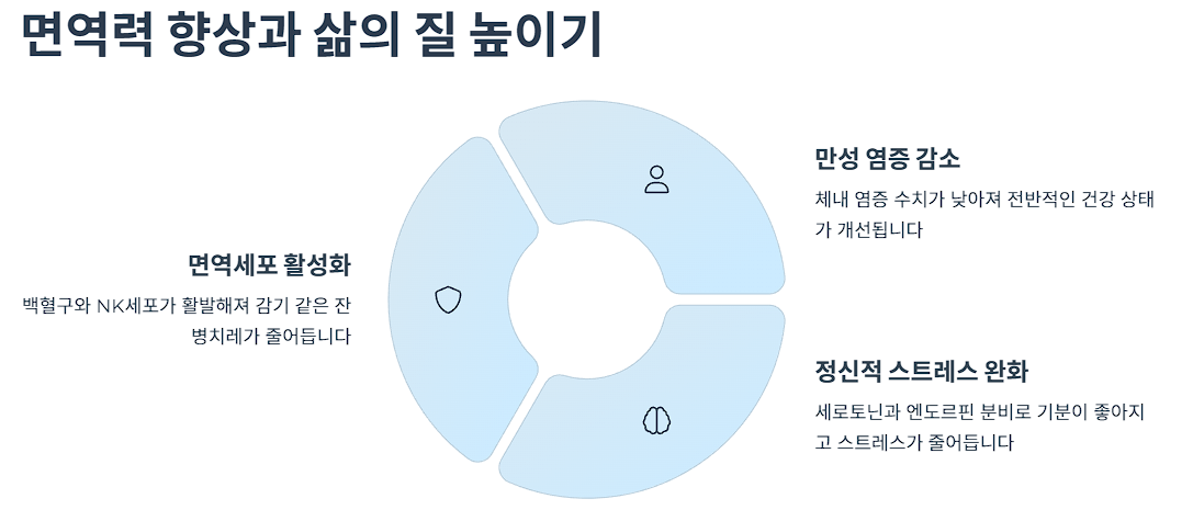 면역력 향상과 삶의 질 높이기