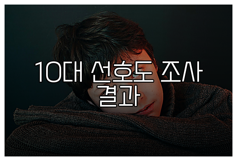 10대 선호도 조사 결과