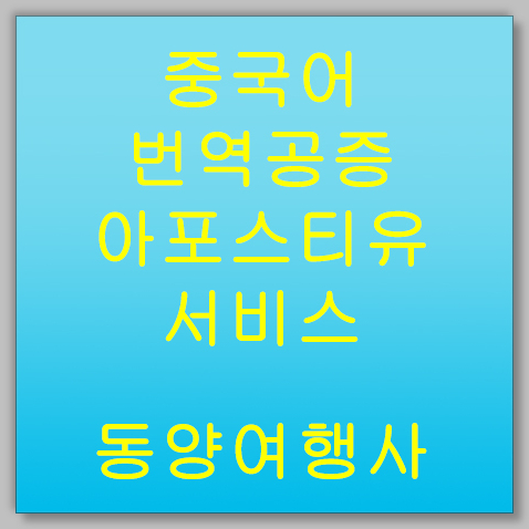 다양한 법인 서류에 대한 중국어 번역공증 및 아포스티유 인증 업무