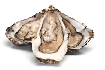 통영굴 가격 및 효능, 영양성분과 주의점