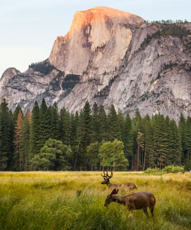기후동행카드 신청방법&amp;#44; 판매처&amp;#44; 사용법&amp;#44; 충전방법&amp;#44; 할인