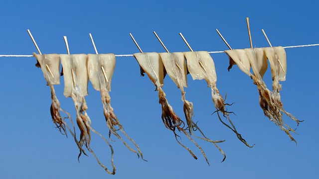 오징어-말리는-꿈-풀이