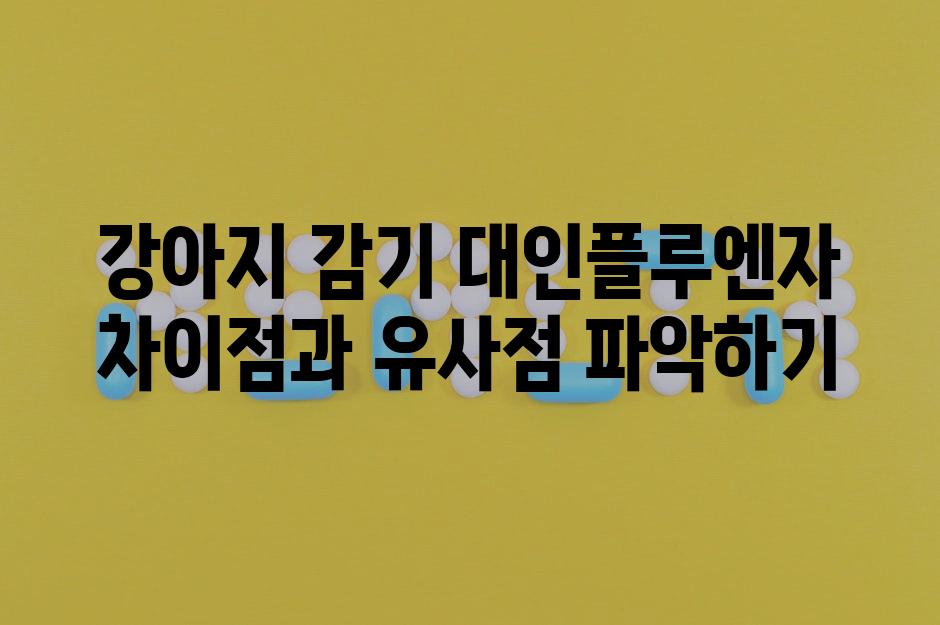 강아지 감기 대인플루엔자 차이점과 유사점 파악하기