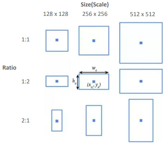 여러 종류의 anchor box들