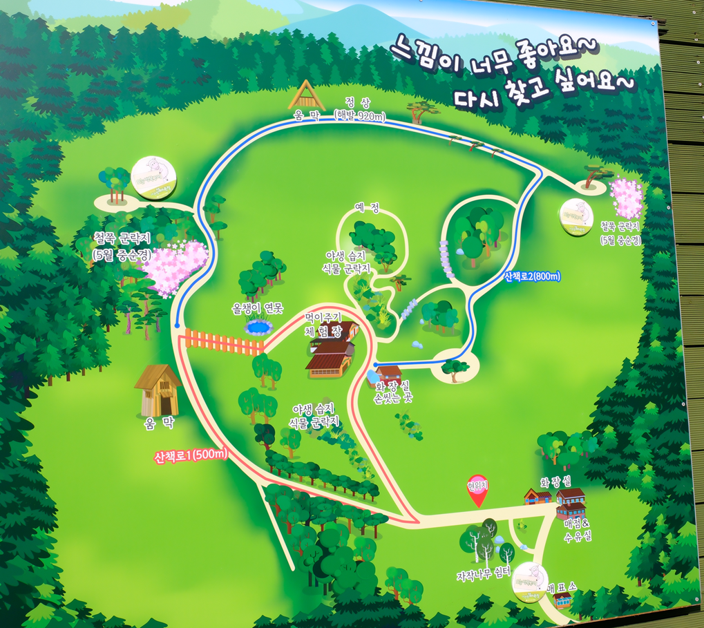 대관령 양떼 목장 MAP