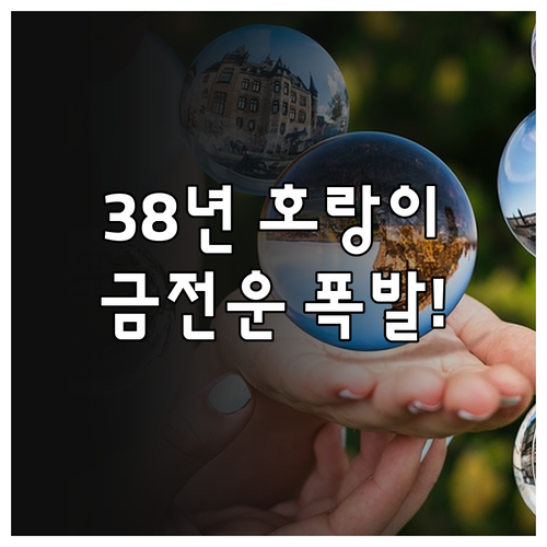 1938년생 호랑이띠 2월 금전 운세..