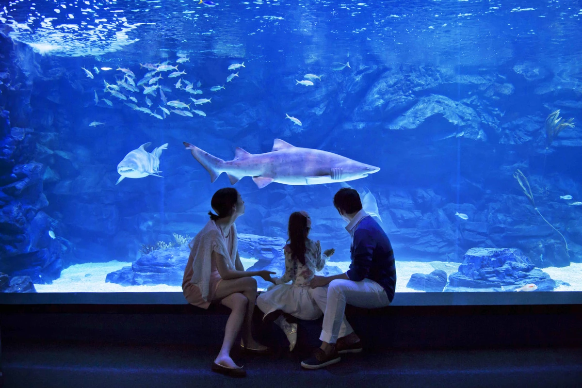 아쿠아플라넷 - 수족관