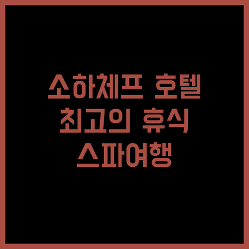 소하체프 호텔 쇼팽 비즈니스 & 스파..