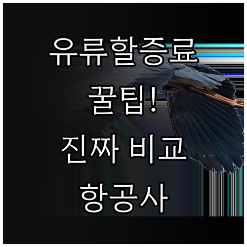해외 항공사 유류할증료 포함 가격 비..