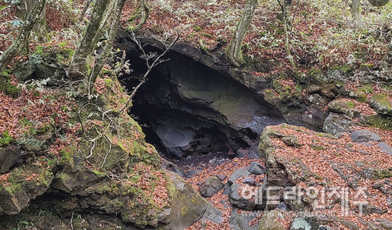제주 구린굴 공개, 관음사 인근 용암동굴 탐방 예약제 안내