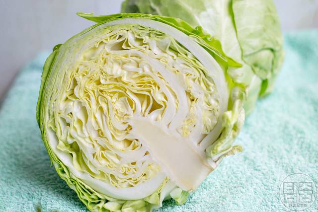 장염에 좋은 음식 양배추 장염에 좋은 죽 장염 빨리 낫는 법