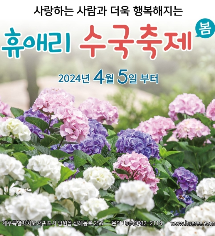 휴애리 수국축제