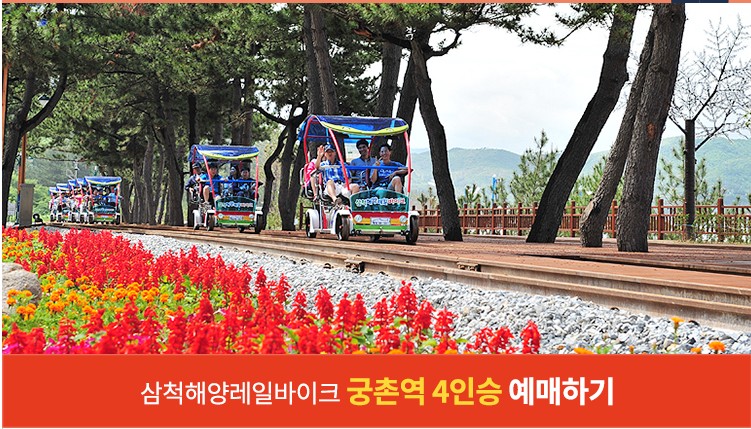 삼척 레일바이크