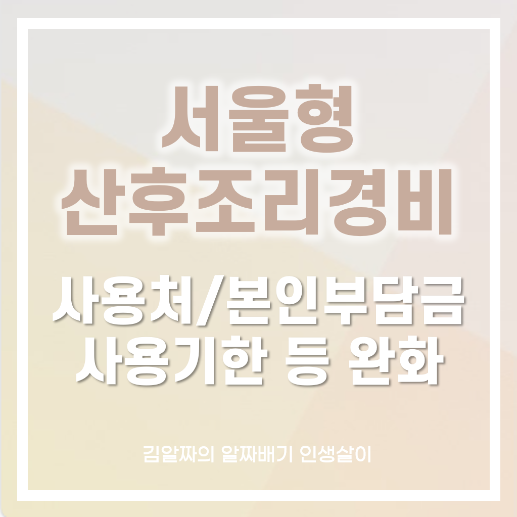 서울형-산후조리경비