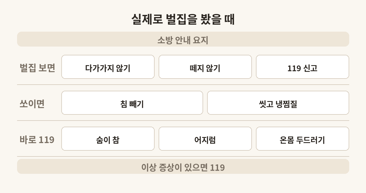 집에서 벌집을 봤을 때와 벌에 쏘였을 때 소방 안내 요지를 정리한 표