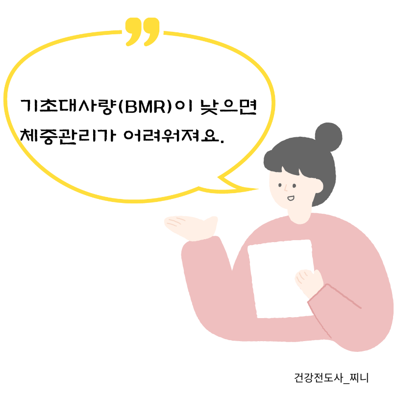 기초대사량 안내 이미지